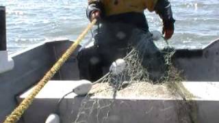 Bristol Bay Commercial Fishing 2010 [upl. by Northington]