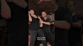 Wing Chun Classroom Throw Technique Revealed with WingchunTuTengyao [upl. by Natye]