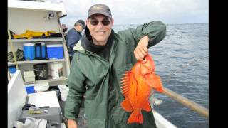 Chris Fishing and Whale Watching Rock Cod Fishing [upl. by Nemad]