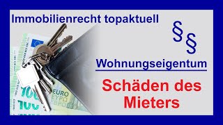 Vermietete Eigentumswohnung  wer muss für die Schäden des Mieters zahlen  Tutorial [upl. by Onahpets]