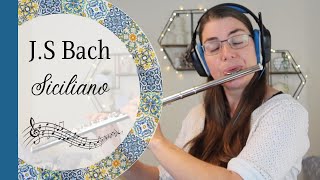 Siciliano from Flute Sonata in Eb BWV 1031 by J S Bach [upl. by Apoor]