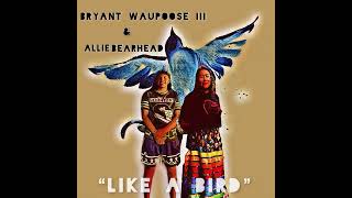 “Like a bird” Allie Bearhead amp Bryant waupoose lll [upl. by Nellahs]