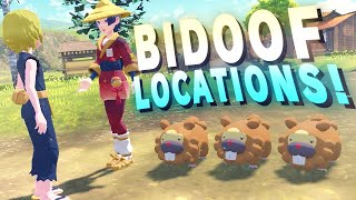 ALL 3 Bidoof Locations  Bothersome Bidoof Quest  Pokemon Legends Arceus [upl. by Anh]