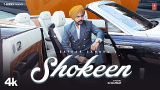 SHOKEEN Official Video  Satkar Sandhu  Latest Punjabi Songs 2023  TSeries [upl. by Ahsaet]