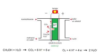 samenvatting havo redox redoxreacties [upl. by Gemina]