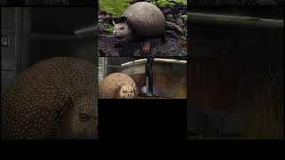 GLYPTODON animación nivel 10 Jurassic World the game m jurassic dinosaurjurassicpark dinosaur 🦖🦖 [upl. by Ridinger792]