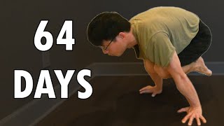 REAL Beginner Zero to Tuck Planche Progression in 64 Days  Road to Full Planche Ep1 [upl. by Nnhoj618]