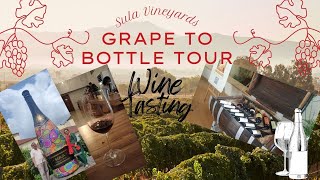 Sula Tour and Wine Tasting sulavineyards sulatour winetasting winelovers sula fun [upl. by Gaudette951]