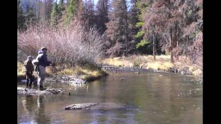 Colorado Fly Fishing Big Laramie River Rawah Ranch [upl. by Syck248]