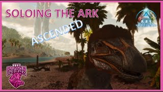 Building The Gather Team Soloing ARK Ascended Ep 3 [upl. by Camfort541]