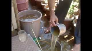 Ecosan Urine as a bioinnoculantLinking sanitation to agriculture [upl. by Leivad6]