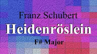 Heidenröslein by Franz Schubert  Piano accompaniment  F Major [upl. by Mariska]