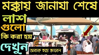 মক্কায় জানাজা শেষে লাশগুলো কি করা হয় দেখন  mokka modinar video bangla  islami amol sikkaha [upl. by Eemiaj]