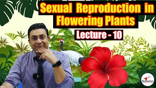 Sexual Reproduction in Flowering Plants l Lecture 10 l Biology l NEET [upl. by Everett]