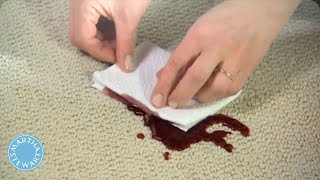 How to Remove Any Carpet Stain  Martha Stewart [upl. by Ynnavoeg]