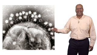 Paul E Turner Yale 3 Phage Therapy [upl. by Guerra]