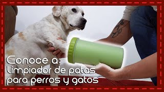 🚫🦠Cómo funciona el limpiador de patas para perros 🐶🏡 PERRHIJOS Cómo limpiar las patas perro [upl. by Gershon]