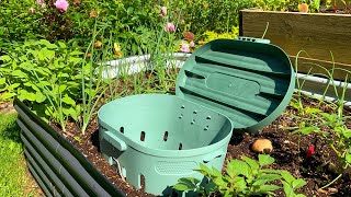 Worm Composting In Raised Garden Beds  Red Wiggler Worms for Composting In Beds  Worm Bin [upl. by Nnylcaj]