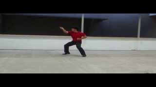 Bajiquan 八极拳 Singapore 2012 [upl. by Urba481]