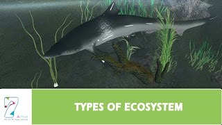 TYPES OF ECOSYSTEM [upl. by Aihsirt]