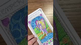 The Temperance Card  Tarot Meanings [upl. by Rudiger109]