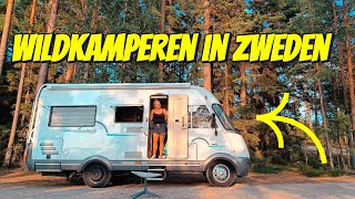 WILDKAMPEREN MET DE CAMPER AAN EEN MEER IN ZWEDEN 206 [upl. by Annayt]