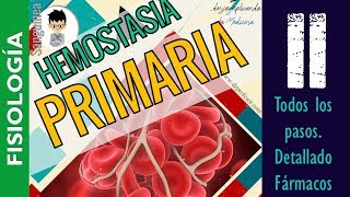 HEMOSTASIA PRIMARIA COAGULACIÓN TEORIA ANTIGUA Y NUEVA FIBRINOLISIS FISIOLOGÍA SanguineaP2 [upl. by Cardinal827]