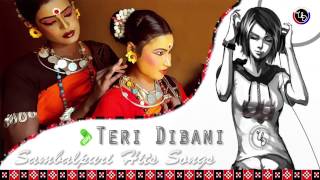 Teri Dibani  Sambalpuri Hits Songs [upl. by Noraf]