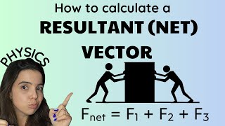 Resultant vector  Vector addition Grade 10 Physics [upl. by Pier]