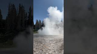 Grand Geyser eruption near Old Faithful spectacular to watch [upl. by Daley248]