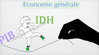 IDH et PIB par habitant en PPA [upl. by Lee]