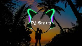 Closer X Thodi der Remix  Mashup  Dj Shiva [upl. by Augustina]