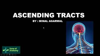 ASCENDING TRACTS  NEURO PHYSIOLOGY  NEURO ANATOMY [upl. by Darom]