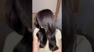 Cabelo escovado com escova secadora “Revlon Onestep Volumizer Root Booster” hair cabelos [upl. by Ttayh]