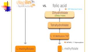 MTHFR Methylfolate amp Prescriptions Presentation 🧬 Dr Neil Rawlins Presentation Part 1 of 4 [upl. by Yelhsa]