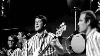 Surfin USA Live on the TAMI Show 1964 [upl. by Jerrine]