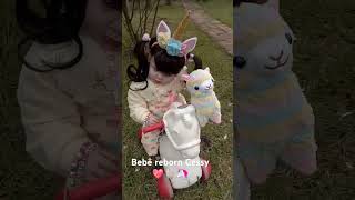 Bebê reborn Cessy no 🐴 cavalinho 🎠💖🦙❄️🌨️💖🦄videoshort [upl. by Ttenna]