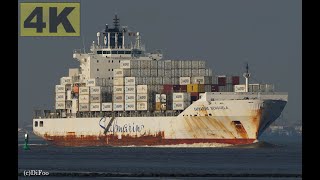 SAFMARINE BENGUELA  Shipspotting Germany 🇩🇪 IMO 9355367  River Elbe near Otterndorf  4K VIDEO [upl. by Kamilah]