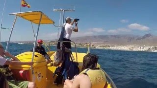 Parascending  Tenerife [upl. by Yenetruoc869]