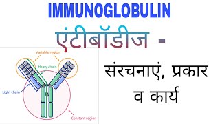 what is Antibody immunoglobulin Ig  types structure function  IgI IgG IgA IgD IgM  ig [upl. by Anelac]