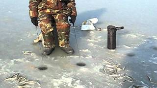 Smelt Ice Fishing2  Russia Vladivostok [upl. by Htederem]