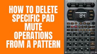 Roland SP 404 MK2 Tutorial  Delete Specific Pad Mute Operations [upl. by Meenen271]