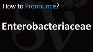 How to Pronounce Enterobacteriaceae CORRECTLY [upl. by Hras572]