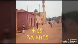 eritrean music krar fgra huruya gal akrya [upl. by Ecikram]