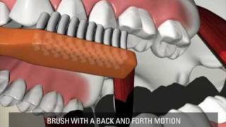 How to Brush amp Floss Teeth Dr Michelle To Pediatric DDS Sherman OaksCa [upl. by Hannad]