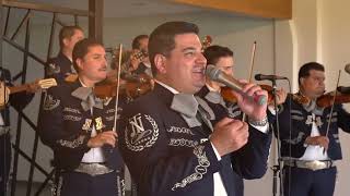 MARIACHI NUEVO TECALITLÁN  SERENATA HUASTECA [upl. by Schultz]