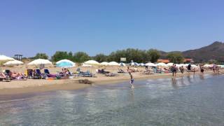 Surprising Moment On Kalamaki Beach Zakynthos [upl. by Arny]