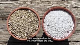 Vermiculite vs Perlite Whats the difference [upl. by Noreh]