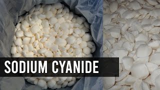 How to Buy Sodium Cyanide  Camachem [upl. by Enyrb840]