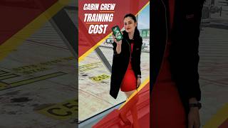 ✈️ Cabin Crew Training Fee 💰  shilugram aviation youtubeshorts airhostess [upl. by Trela]